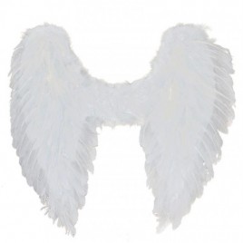 Engelen Vleugels